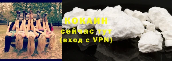 твердый Коряжма