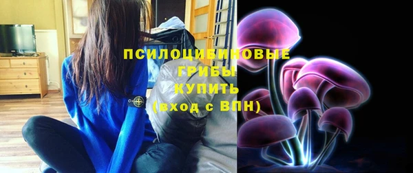 тгк Костерёво