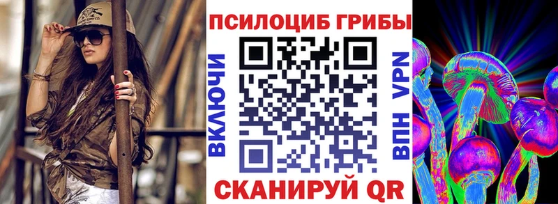 kraken ссылки  дарк нет наркотические препараты  Псилоцибиновые грибы Psilocybine cubensis  Рыбное 